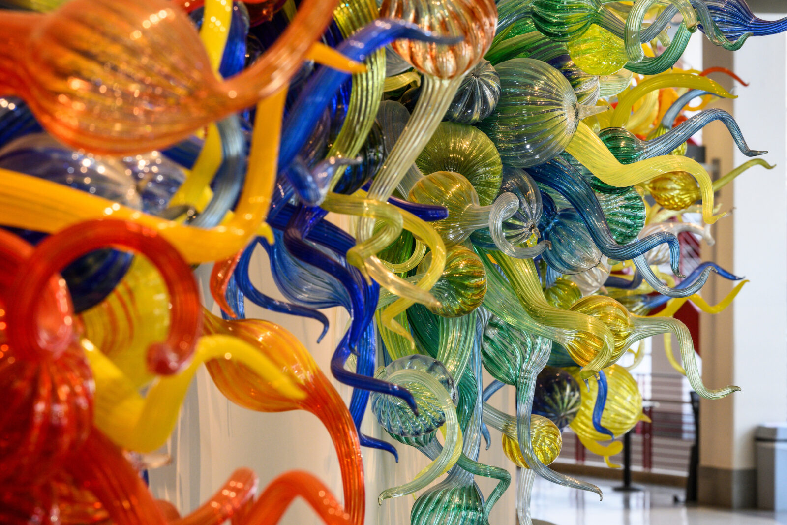 "The Mendota Wall” glass art sculpture by Dale Chihuly hangs in the Kohl Center foyer.